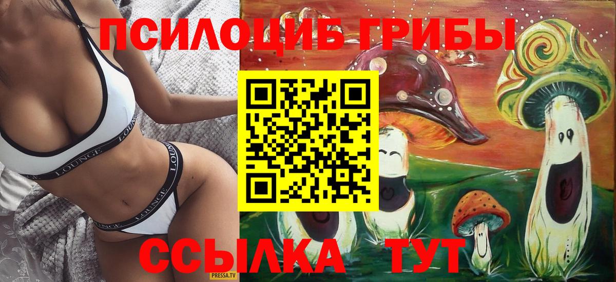 Сарапул  Псилоцибиновые грибы MAGIC MUSHROOMS  Вход с VPN 
