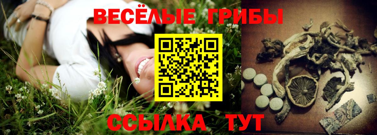 Псилоцибиновые грибы GOLDEN TEACHER Сарапул
